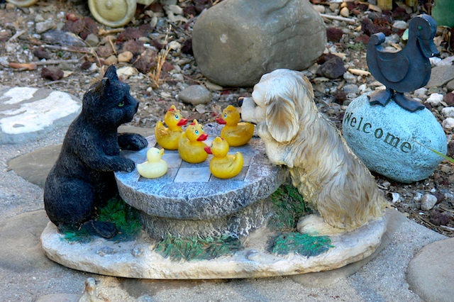 duckHouse.jpg