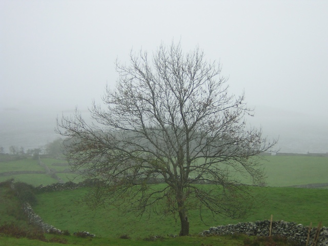 galway3.jpg