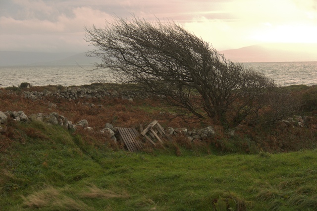 galwayCoast.jpg