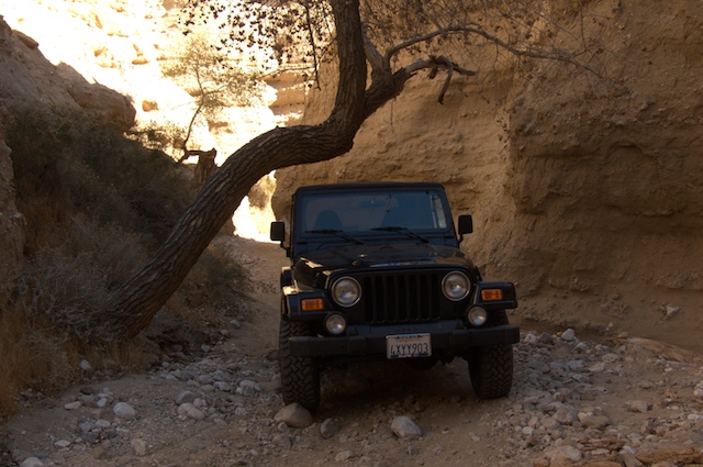 jeep.jpg