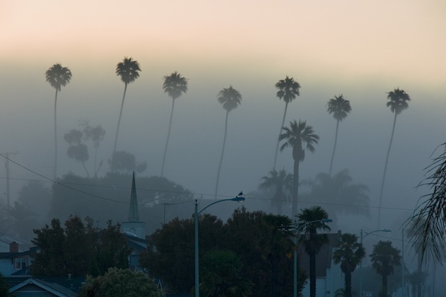 ventura.jpg