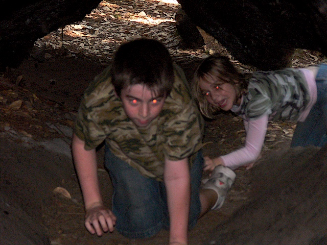wildThings.jpg