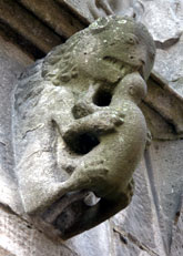 Otter Gargoyle in Galway