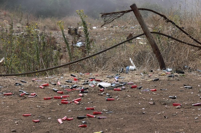 Shotgun Shells Near Lizard’s Mouth