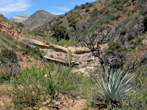 Waterfall on Sespe tributary